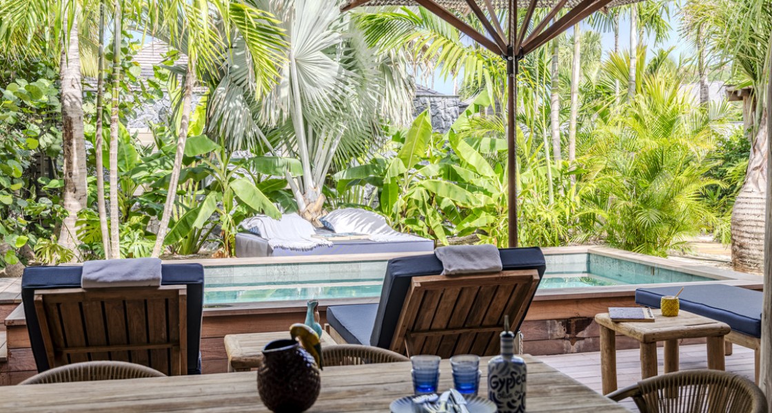 Wild Banana - Photo 2