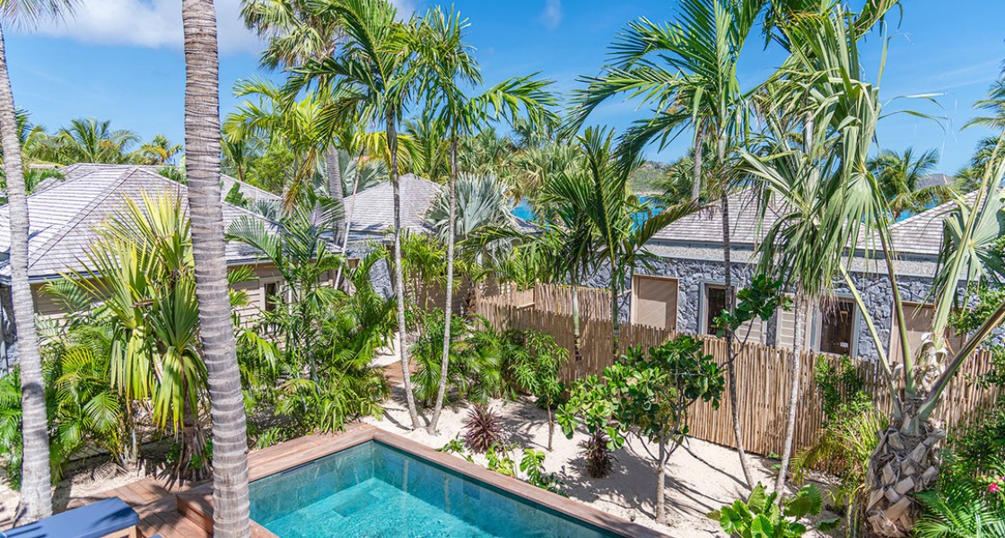 Coco Mango - Photo 1