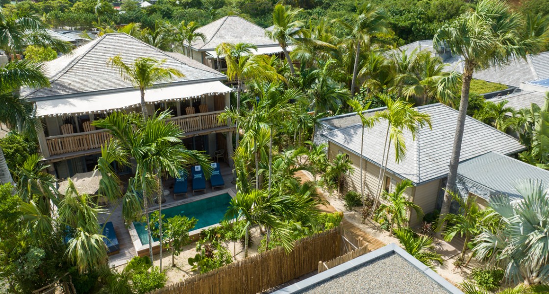 Wild Banana - Photo 12