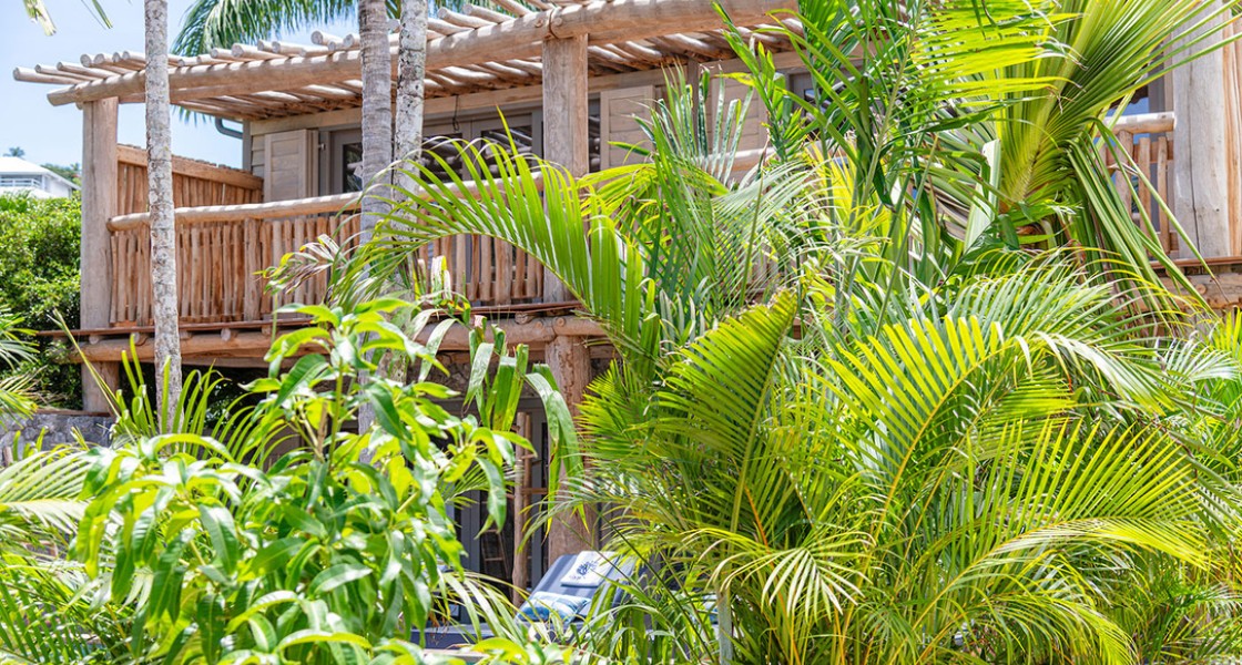 Coco Mango - Photo 2