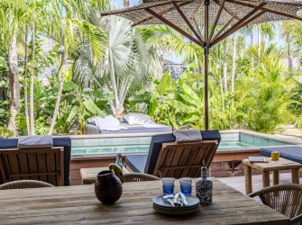 Wild Banana - Photo 2