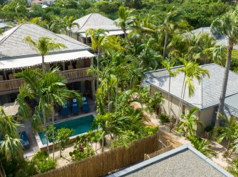 Wild Banana - Photo 12