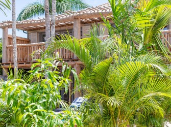 Coco Mango - Photo 2