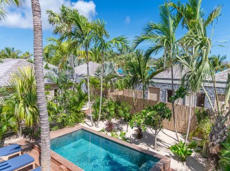 Wild Banana - Photo 1