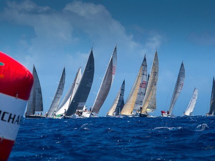 /thumbs/437×327/st_barth/2022/12/1670669931_Bouee.jpg